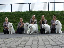 aand5